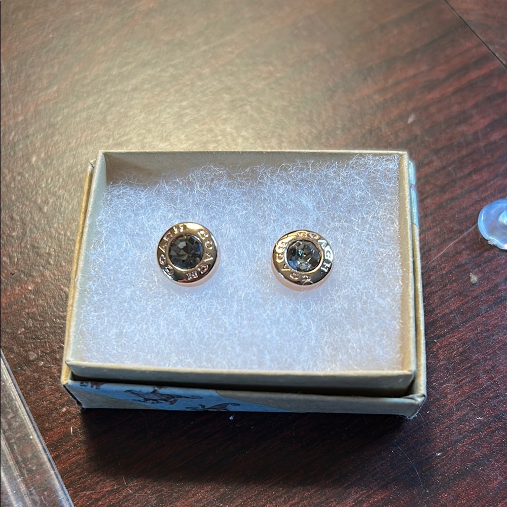 Chic Gold and Black Crystal Earrings
